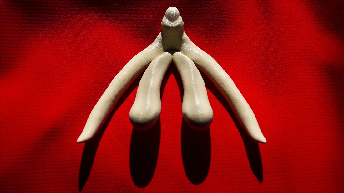 Pleasure Points for Vulva Owners