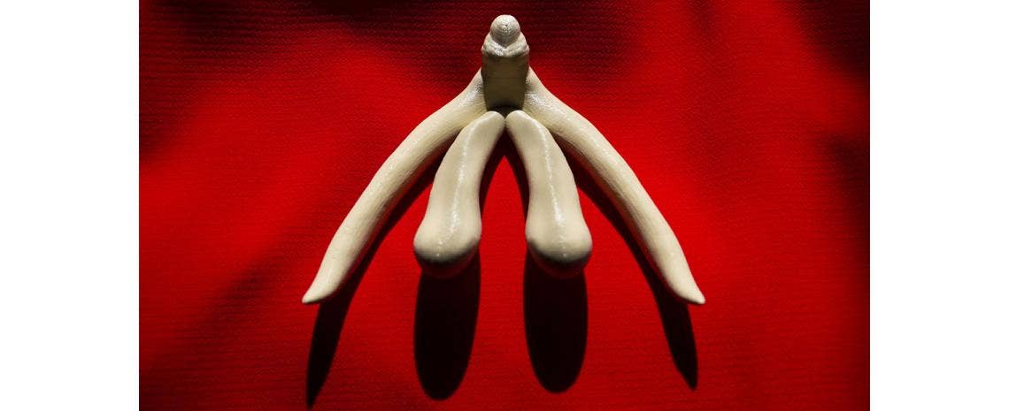 Pleasure Points for Vulva Owners