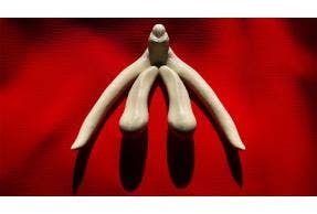 Pleasure Points for Vulva Owners