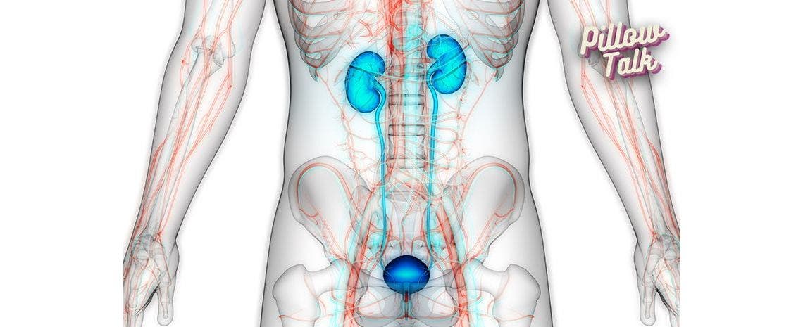 Understanding the Prostate: What it is and what is prostate cancer