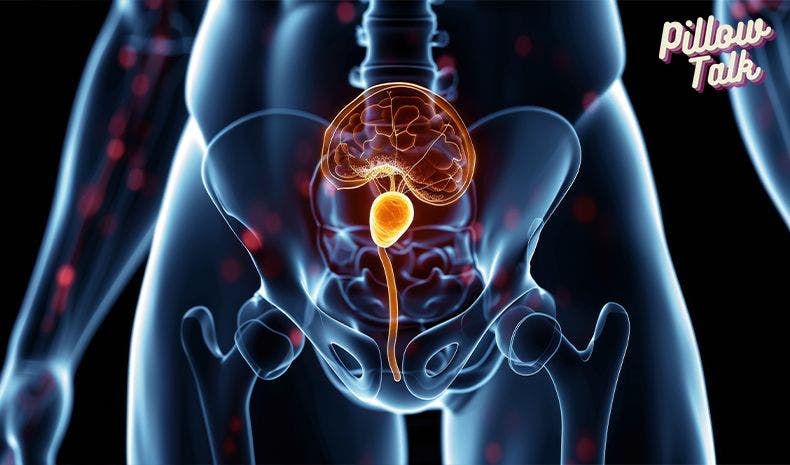 Prostate Cancer Awareness Month: What You Need to Know