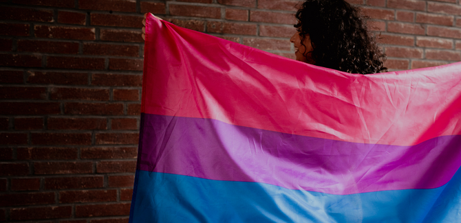 Person standing facing a brick wall, with black curly hair, holding the Bisexual flag open along with their back.